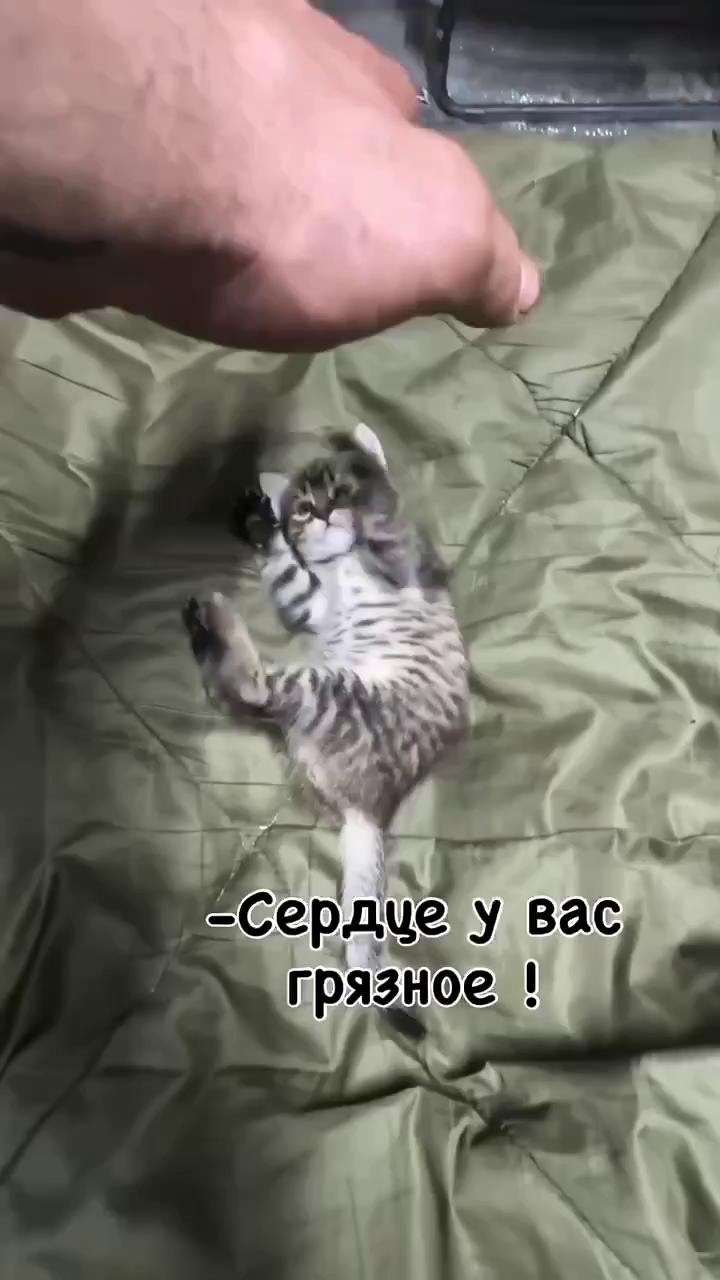 ������