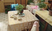 ����, ������! / Wo De Ma Ma Shi Xiao Hua / Mama Go! - 1 �����, 3 �����