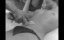   / Queen of the Deuce / Queen of New York - 