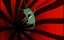 ����� ��� ���������� ����� / SpongeBob SquarePants - 3 �����, 1 �����