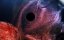   / Amid The Space - 