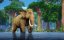 ������ � �����. ����� ����������� / Adventures of Akira and Mowgli - 1 �����, 16 �����