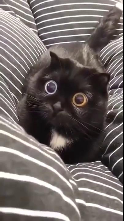 ������