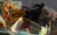    / The Keeping Hours - 