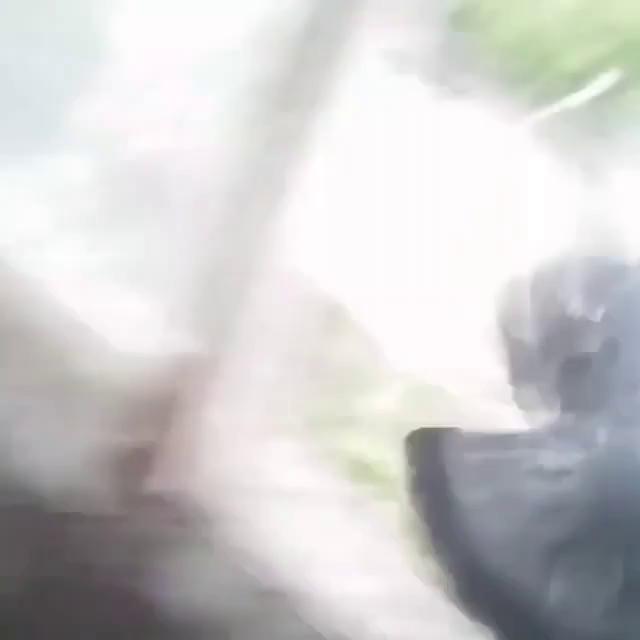 ������