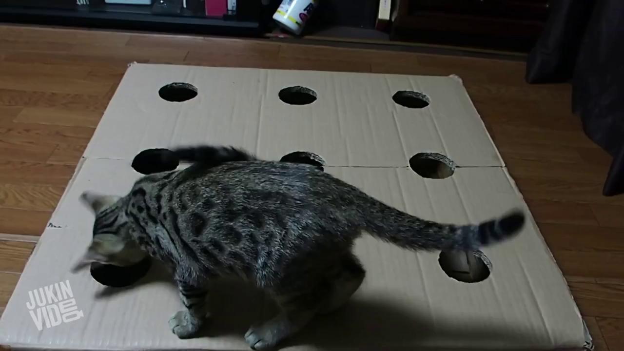 ������