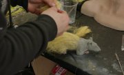  !   3 / Art Attack! The Dissection of Terrifier 3 - 