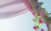 ����������� ��������� / Gong Zhu Bian Xing Ji (Princess Deformation Meter) - 1 �����, 17 �����