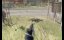   DayZ
