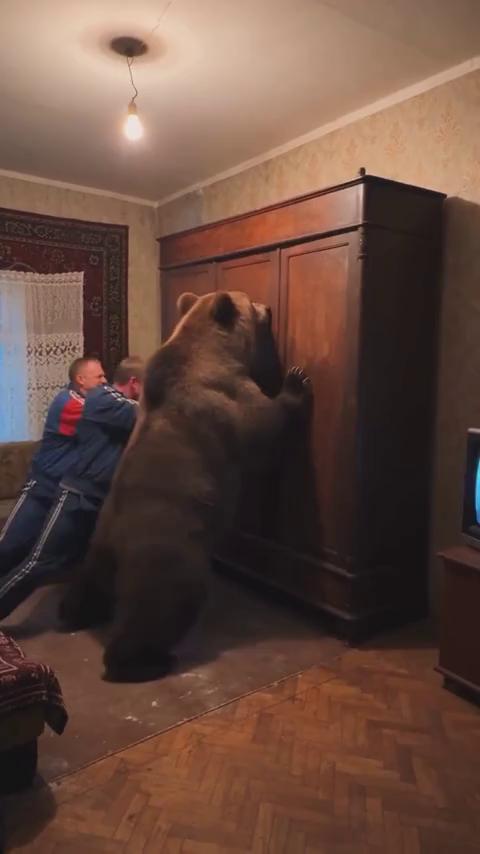 ������