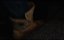  / The Heretics - 