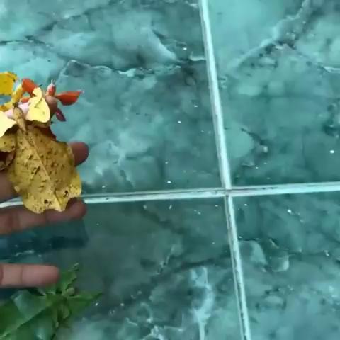 ������