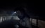  / Pandemic - 