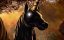   / Unicorn Wars - 