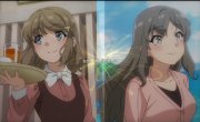 ,    - / Seishun Buta Yarou wa Bunny Girl Senpai no Yume o Minai - 2 , 1 