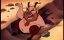 :   / Hercules: The Animated Series - 2 , 8 