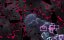  :  / Onmyou Kaiten Re:Birth - 1 , 12  "END"