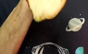 ������� 5 ������ ��� �����������