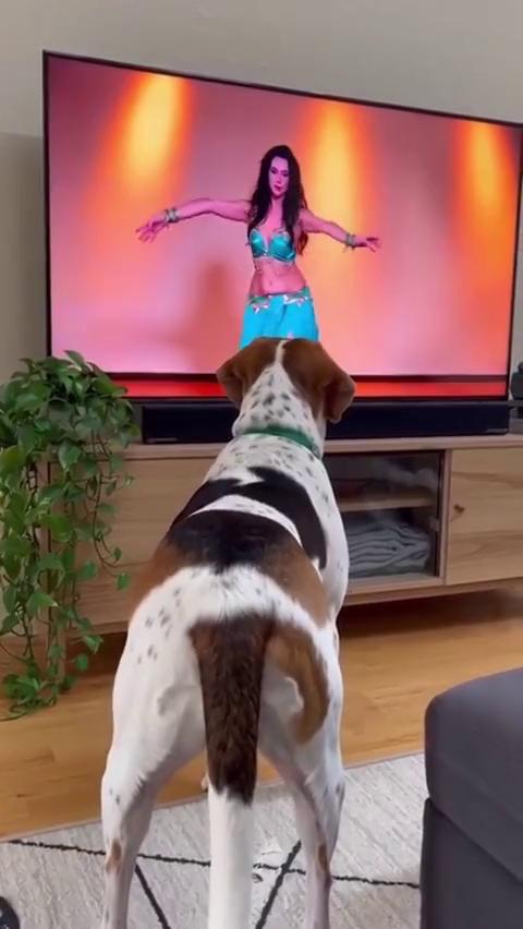 ������