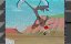 ������� ������� / Merrie Melodies & Looney Tunes - 1 ����� "������� � ������"