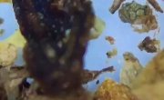 ������� � ��������� ��� �����������