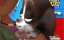 ������� ����� / Puppy Dog Pals - 3 �����, 3 ����� "� ���� � ���� �������� � ��������"