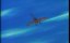 :    /  :  /     / Genmu Senki Leda / Leda: The Fantastic Adventure of Yohko - 