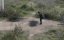����� / Ashkal / Ashkal: The Tunisian Investigation - �������