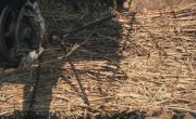   / Sugar Mill - 
