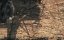   / Sugar Mill - 
