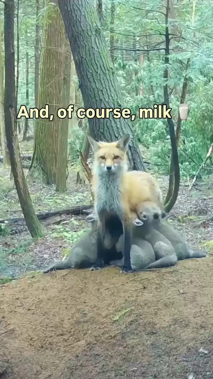 ������