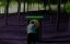   / Paradise Trips - 