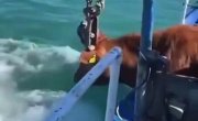 � �������� ����� �������� � ����� � ���� ��������� �� ��������� ��������