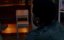      ( ) / What We Do in the Shadows - 2 , 4 