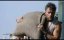    / Quest - 