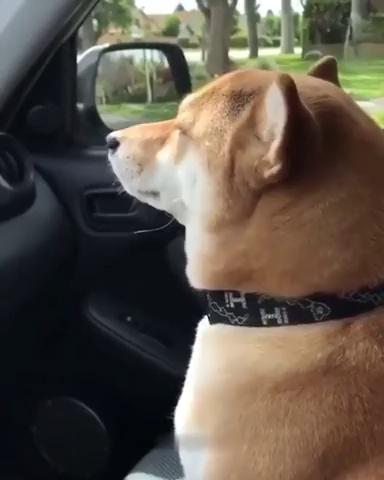 ������
