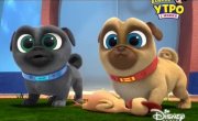 ������� ����� / Puppy Dog Pals - 3 �����, 46 ����� "�� ���� ������� ����"