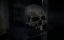    / The Mystery of the Crossrail Skulls - 