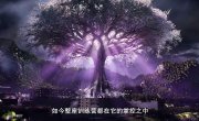 ����� ����� / Zhan Shen - 2 �����, 2 �����