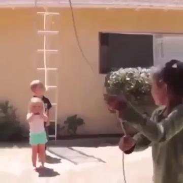 ������