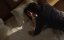 Ҹ���� ������� / Dark Matter - 2 �����, 1 �����