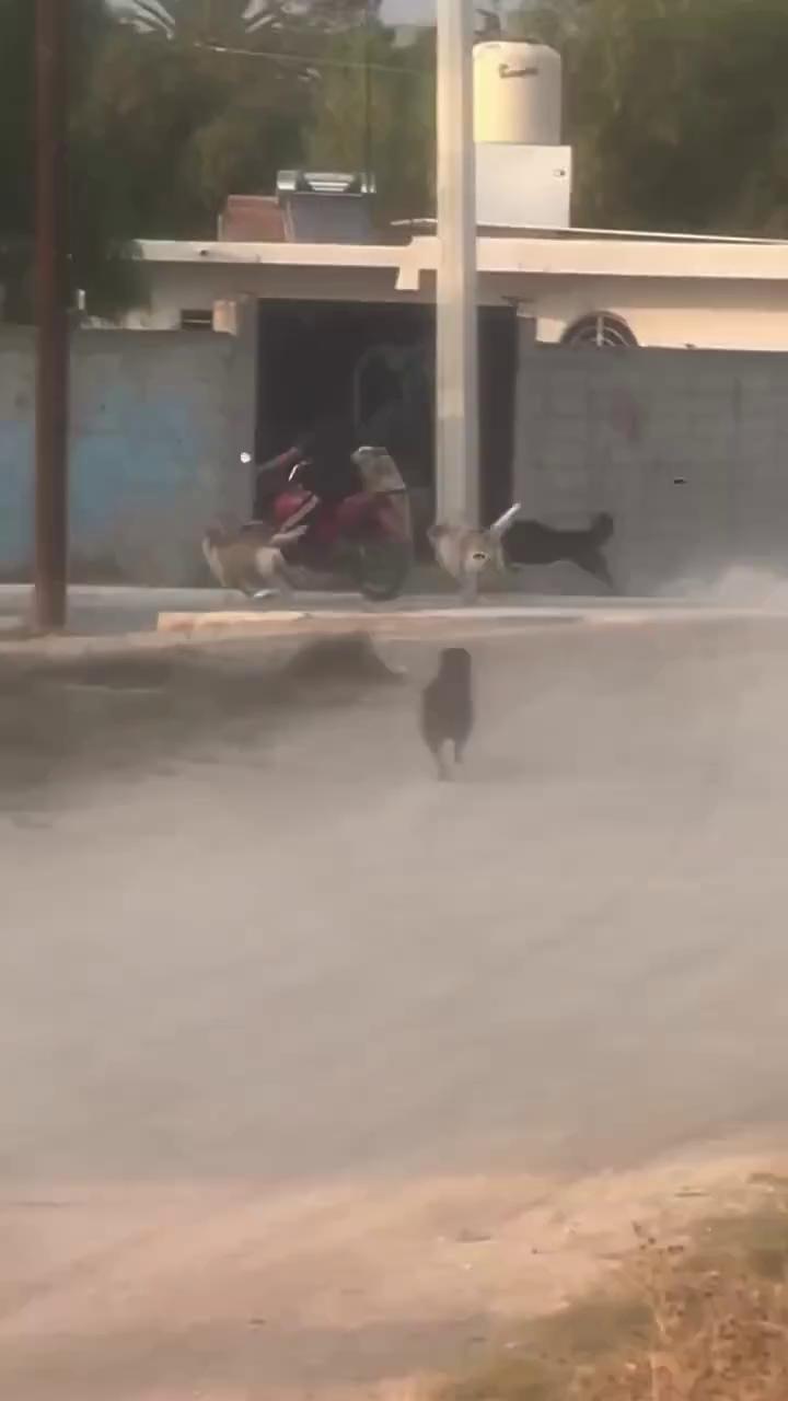 ������