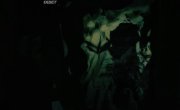   / Untamed - 1 , 4 
