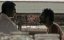  / The Violin Player - 