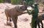 ������ ������� / Escape from Extinction - �������