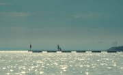  / Scheda - 1 , 3 