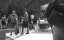   / Hard Plastic - 