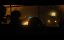  / Dogworld - 
