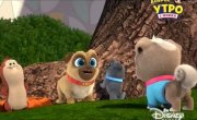 ������� ����� / Puppy Dog Pals - 3 �����, 28 ����� "����������"