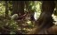     / Welcome to the Circle Trailer - 